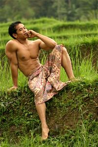 Picture